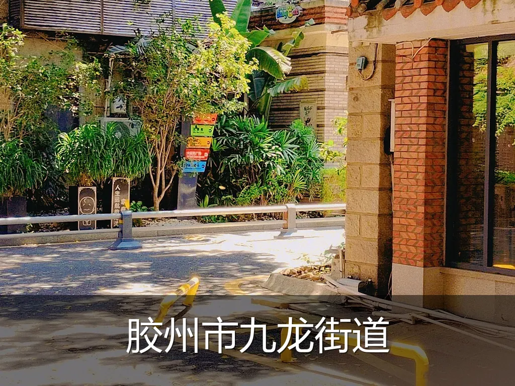 胶州市九龙街道