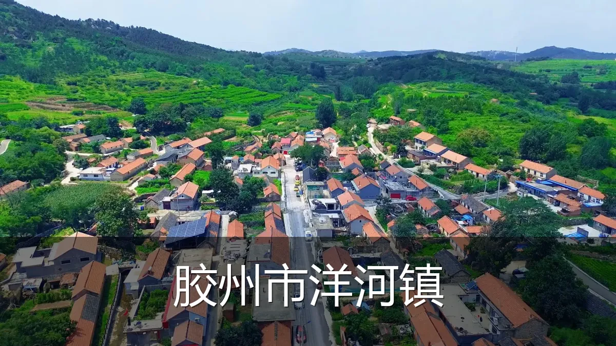 胶州市洋河镇